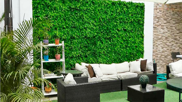 Instagreen: Beneficios de instalar un muro verde en la privacidad en tu domicilio