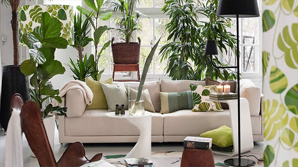 Estilo 'Urban jungle': Claves para dar más vida a tu casa