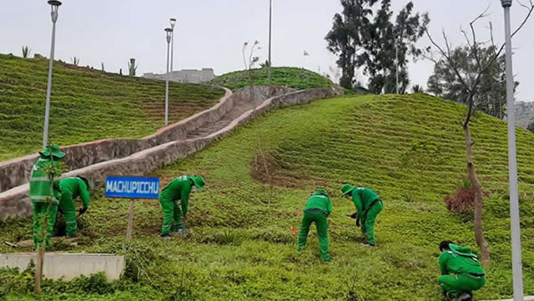 Reverdece Perú: Mantenimiento de áreas verdes extensas