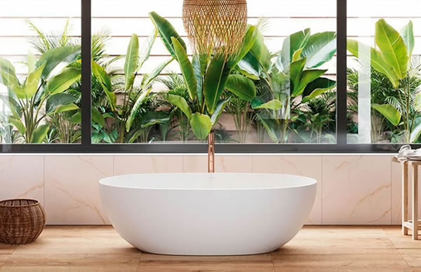 Ideas para elevar la decoración de tu baño con plantas