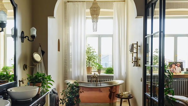 Las 7 plantas ideales para decorar tu baño y dónde colocarlas
