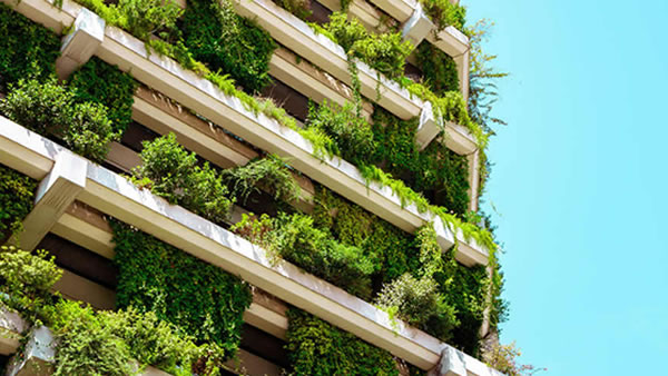 Los 6 creativos latinos que lideran el diseño sostenible