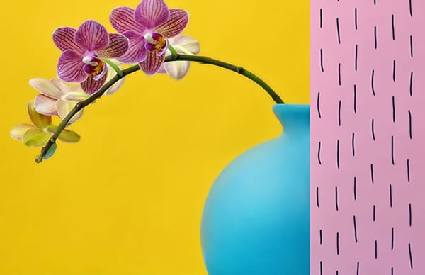 10 Plantas perfectas para tener en el dormitorio