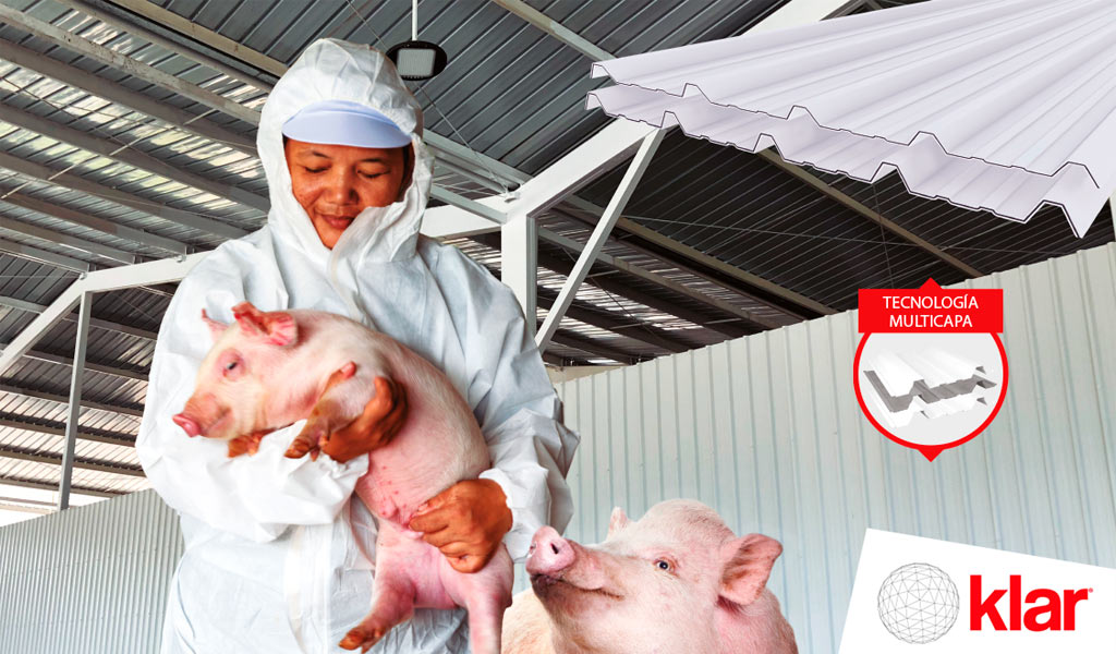 Paneles y coberturas Klar para galpones de crianza de animales