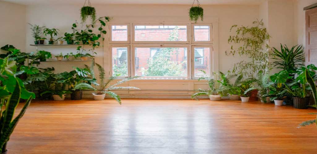 Madera y plantas, tus mejores aliados para crear un hogar cálido