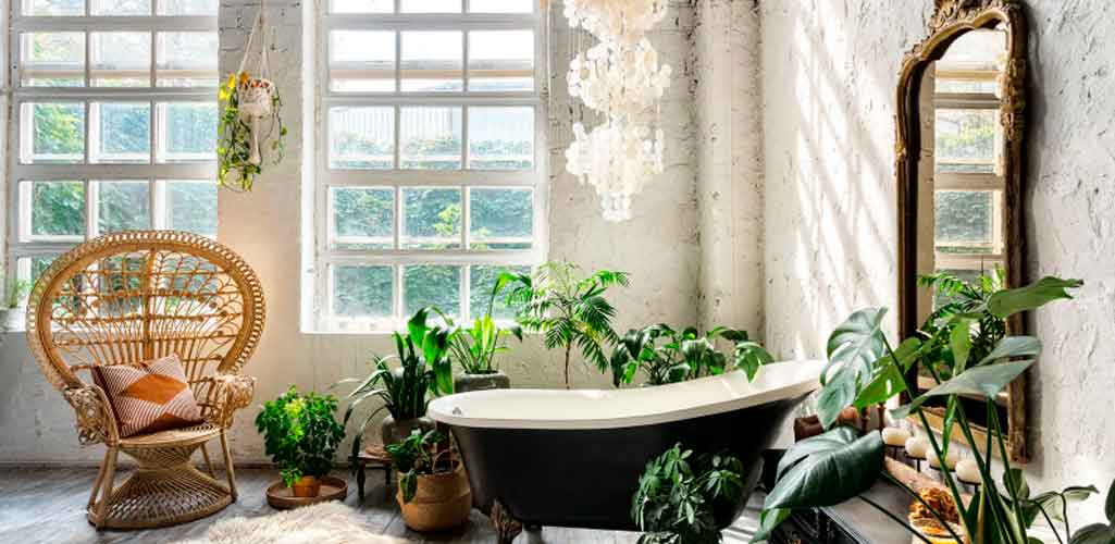 Las plantas que absorben los malos olores del baño