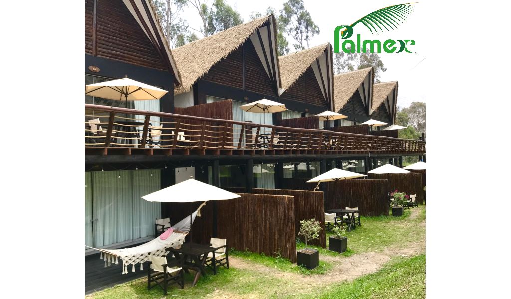 Los Proyectos Sostenibles de Palmex con Grandes Socios