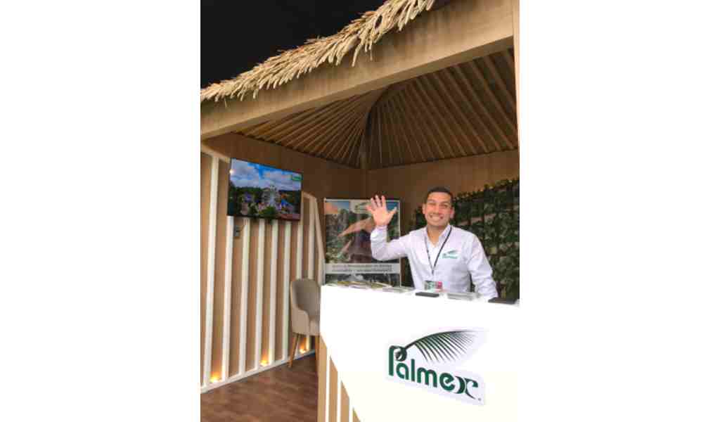 Palmex: Techos tropicales hechos con hoja de palma sintética que brinda soluciones para proyectos rústicos