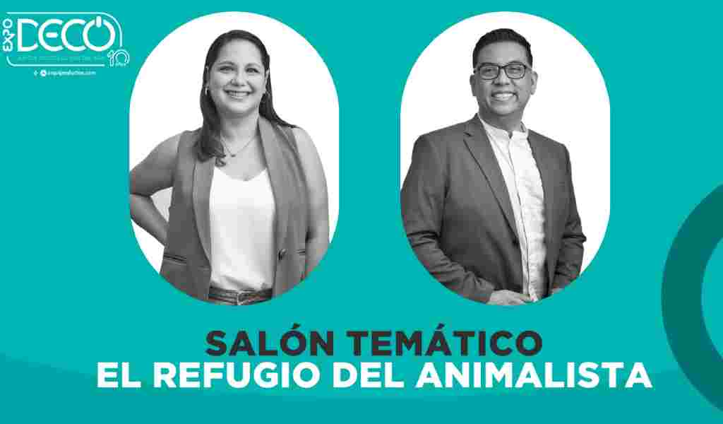 El refugio de la animalista, un salón temático pensado para darle un escape el usuario