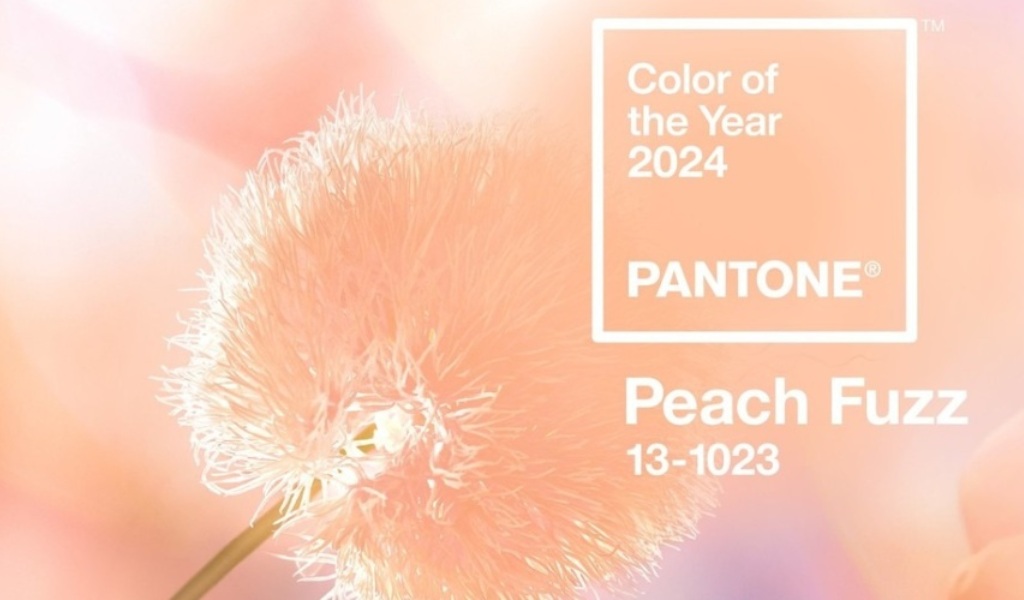El Instituto Pantone Color anuncia el color del año 2024 Peach Fuzz