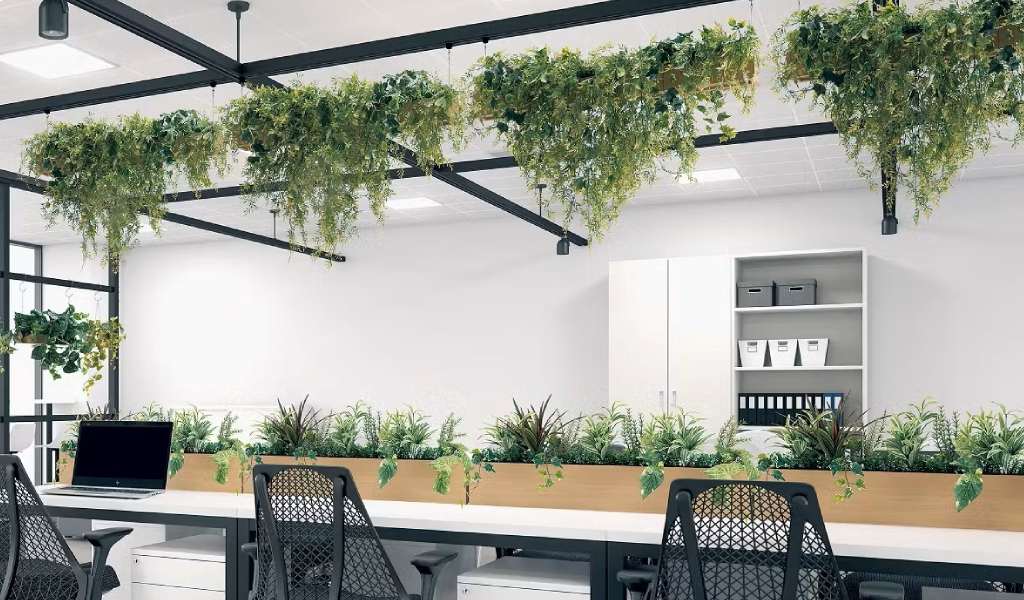 VIERDES: Transforma tu entorno empresarial con jardines verticales, la elegancia sostenible para un futuro responsable