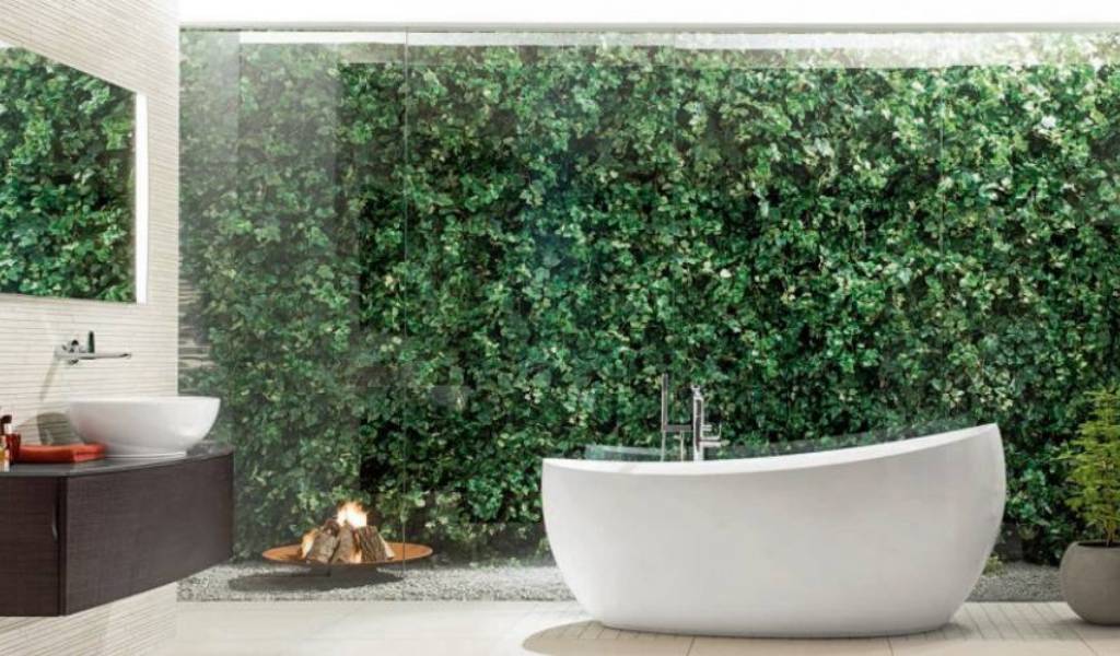 Transforma tu baño en un oasis verde: Inspiración y consejos