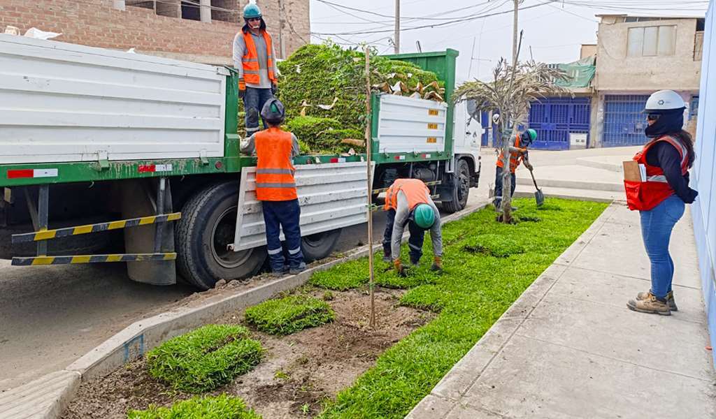 Sostenibilidad y protección ambiental en cada proyecto de IMC