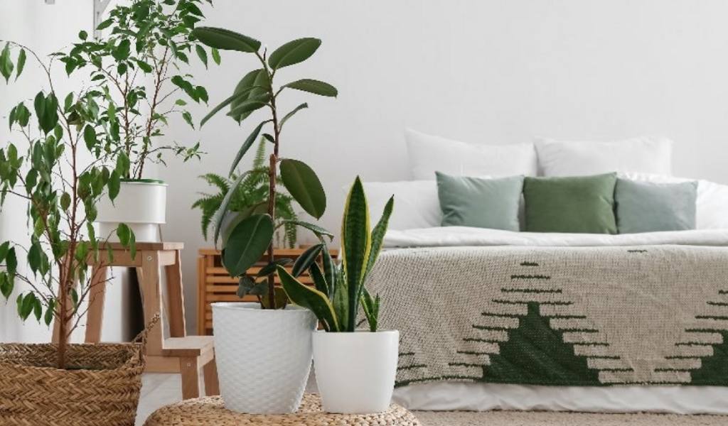 El Verde Chic que transforma