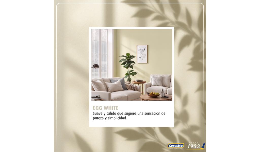 Elegancia en blanco natural