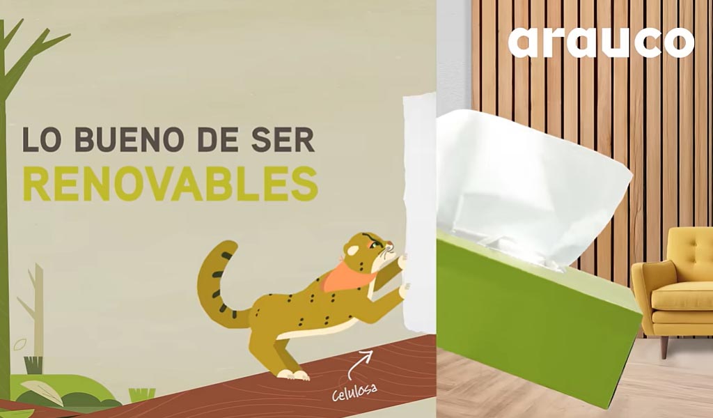 Lo bueno de ser renovables