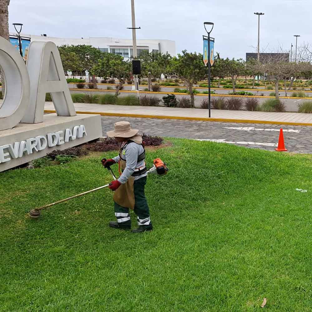 Mantenimiento de jardines y sistemas de riego