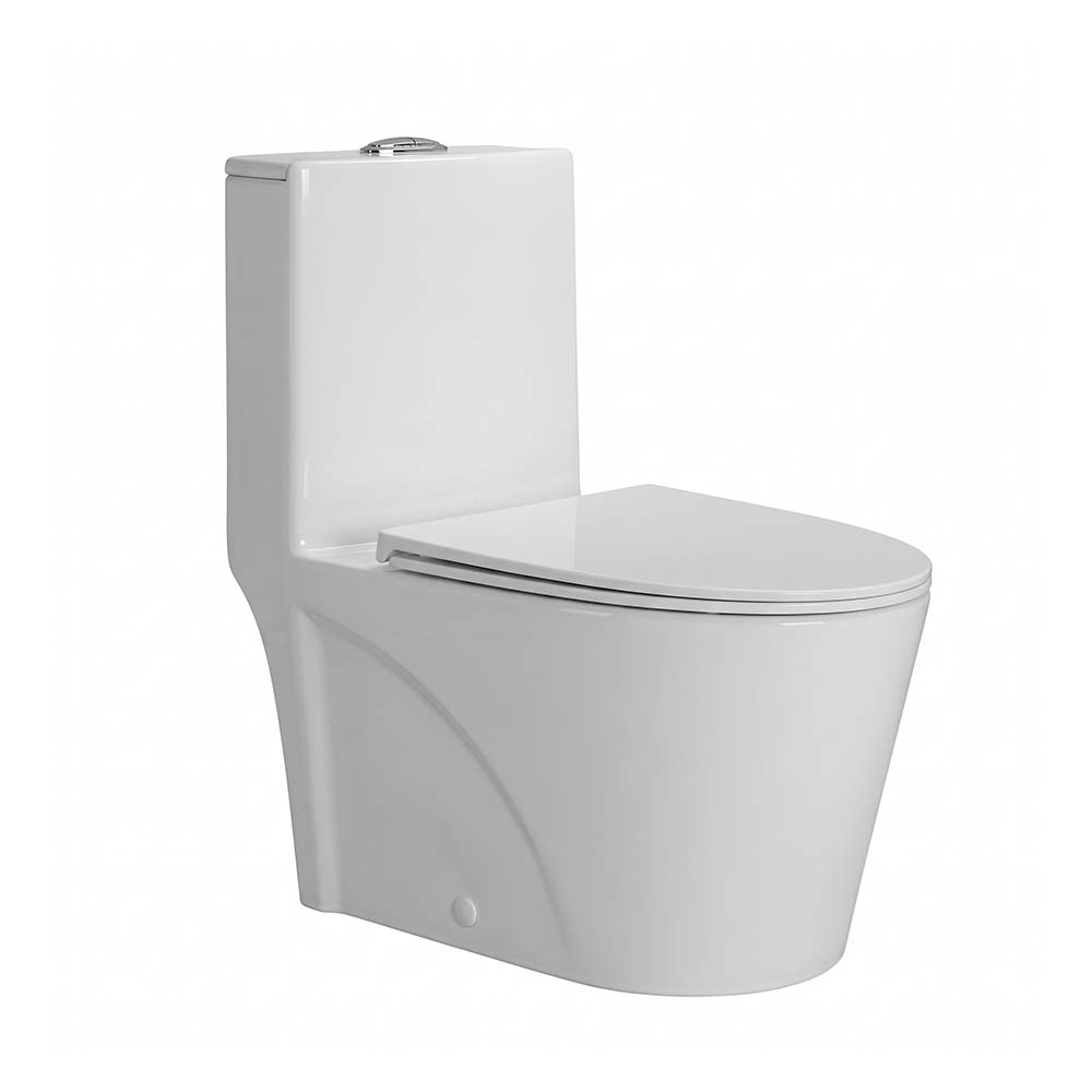 0020010460 INODORO ONE PIECE LDS W + TAPA ASIENTO Y ACCES. BLANCO (700X380X780) - FRATELLI PREMIUM