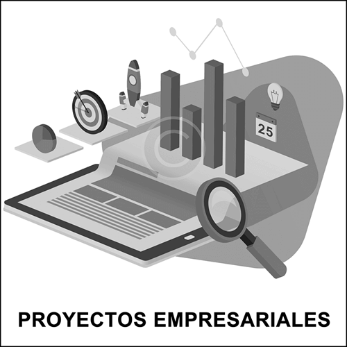 Proyectos Empresariales