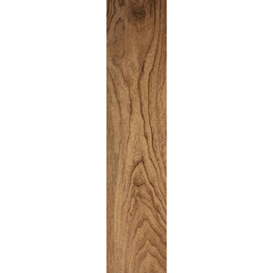 GAW1 African Walnut Natura 0000014250