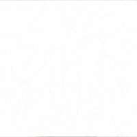7. Premium Wallpaper NOVUS Collection Serie 70301