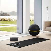 Wellness Ball Active Sitting