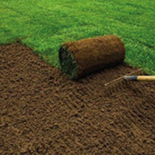 Venta de grass natural