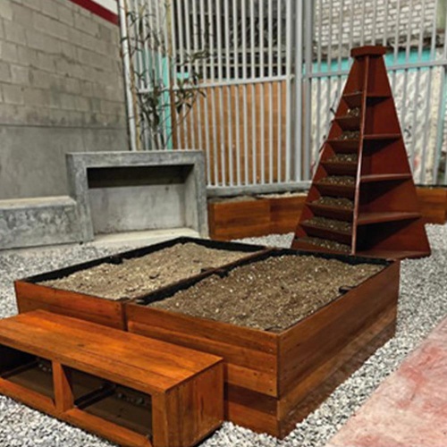 Biohuertos urbanos