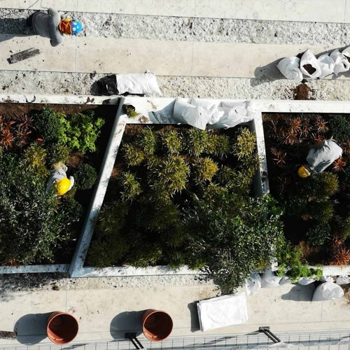 Implementación de jardines