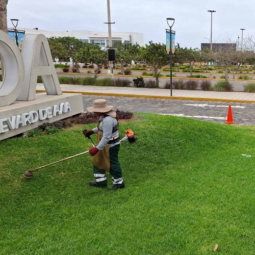 Mantenimiento de jardines y sistemas de riego